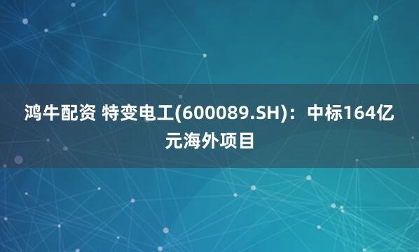 鸿牛配资 特变电工(600089.SH)：中标164亿元海外项目
