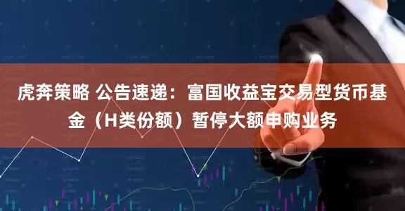 虎奔策略 公告速递：富国收益宝交易型货币基金（H类份额）暂停大额申购业务