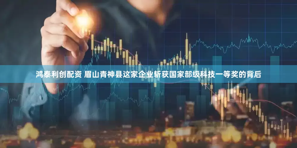 鸿泰利创配资 眉山青神县这家企业斩获国家部级科技一等奖的背后