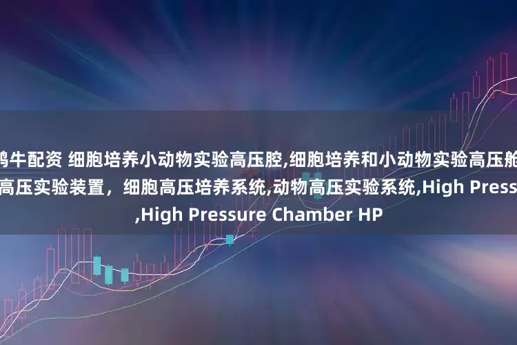 鸿牛配资 细胞培养小动物实验高压腔,细胞培养和小动物实验高压舱,细胞培养或小动物高压实验装置，细胞高压培养系统,动物高压实验系统,High Pressure Chamber HP