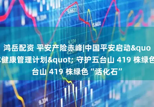 鸿岳配资 平安产险赤峰|中国平安启动"古树名木健康管理计划" 守护五台山 419 株绿色“活化石”